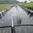 한열농장 이미지