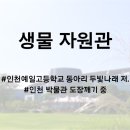 인천예일중 이미지