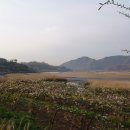 섬진주유소 이미지