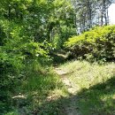매산2리 | 龍仁旅行(29): 모현에서 오포 가는길