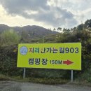 경남 함양 애견 동반 캠핑장 지리산가는길 903