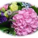 플로리스트(B) 이미지