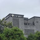 오전열한시 | [중문맛집]정원이 예쁜 서귀포 오전열한시, 전복볶음밥에 반하고온 후기
