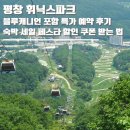 청림민박 | 평창 휘닉스파크 블루캐니언 포함 특가 예약 후기+숙박 세일 페스타 할인 쿠폰 받는 방법