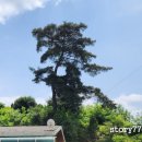 주동마을회관 이미지