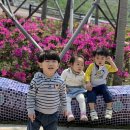 오시리아수변공원 이미지