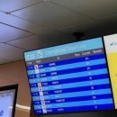 박상혁사무소 | 비행기 놓쳤을 때 / 가루다인도네시아 항공 환불, 인천공항 2터미널