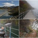 DMZ, 평화의 편지 티스토리