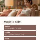 천안아산역 | 천안 아산역 임산부 왁싱, 후기 많은 산모들이 공통으로 걱정한 부분 3가지
