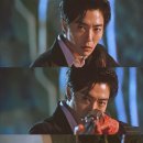 펫앤스토리 이미지