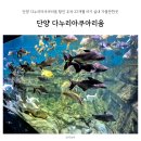 단양군시티투어 | 단양 다누리아쿠아리움 할인 주차 22개월 아기 실내 가볼만한곳