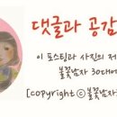 피자헛경산점 이미지