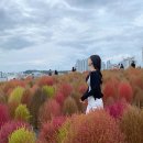 슬도주차장화장실 이미지