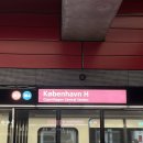 코펜하겐 가성비 숙소 추천 : a&o Copenhagen Nørrebro 후기 도미토리부터 개인실까지 총정리