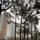 초중 어린이공원 5 이미지