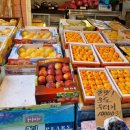 판교모아공인중개사사무소 이미지