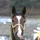 경주 방학 이미지