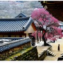 지리산 노고단, 화엄사 이미지