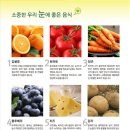 [라섹수술 후기] 수술전, 수술 준비, 수술 후기 (통증/ 주의사항/ 좋은 음식)