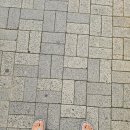 꽃까신