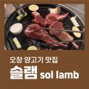 솔램 이미지