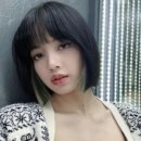 시크릿(secret)헤어 이미지