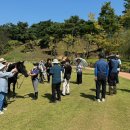 가을코스 이미지