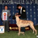 안녕하세요 이미지