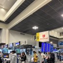 352 | Thai Lion air DMK-ICN / SL352 / 돈므앙공항 후기