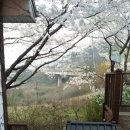 마이산 꽃 펜션 이미지