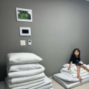 벨라스테이춘천 이미지