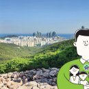 해운대구 구민안전보험이란? 이미지