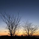 봉오대로556번길 이미지