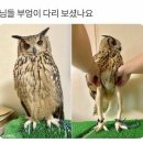 부엉이PC방 이미지