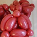 진천장미공원 이미지