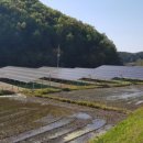 한창2태양광발전소 이미지