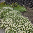 공영목욕탕 이미지