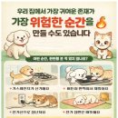 금샘동물병원 이미지