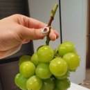 용지농장 이미지