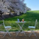 클럽레스피아in삽교바다공원 이미지