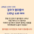 대연언어학습상담센터 네이버블로그