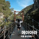 [메이아라] 쫀쫀하고 예쁜 등산양말