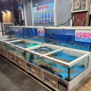 청정명품횟집 이미지