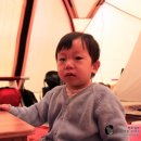 곡성청소년야영장 Daum카페