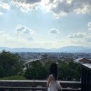 호야자판기