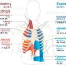 바른밸런스 PT STUDIO 이미지