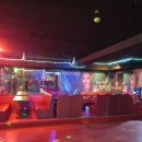 판코리아나이트클럽 이미지