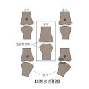 반월판 연골손상[Tear of meniscus] 근골격 질환 이미지