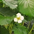 해담농장 이미지