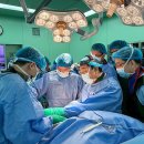 엘앤케이 이미지